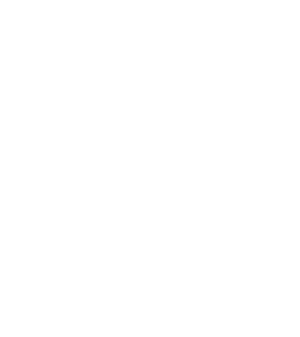 homeland-security